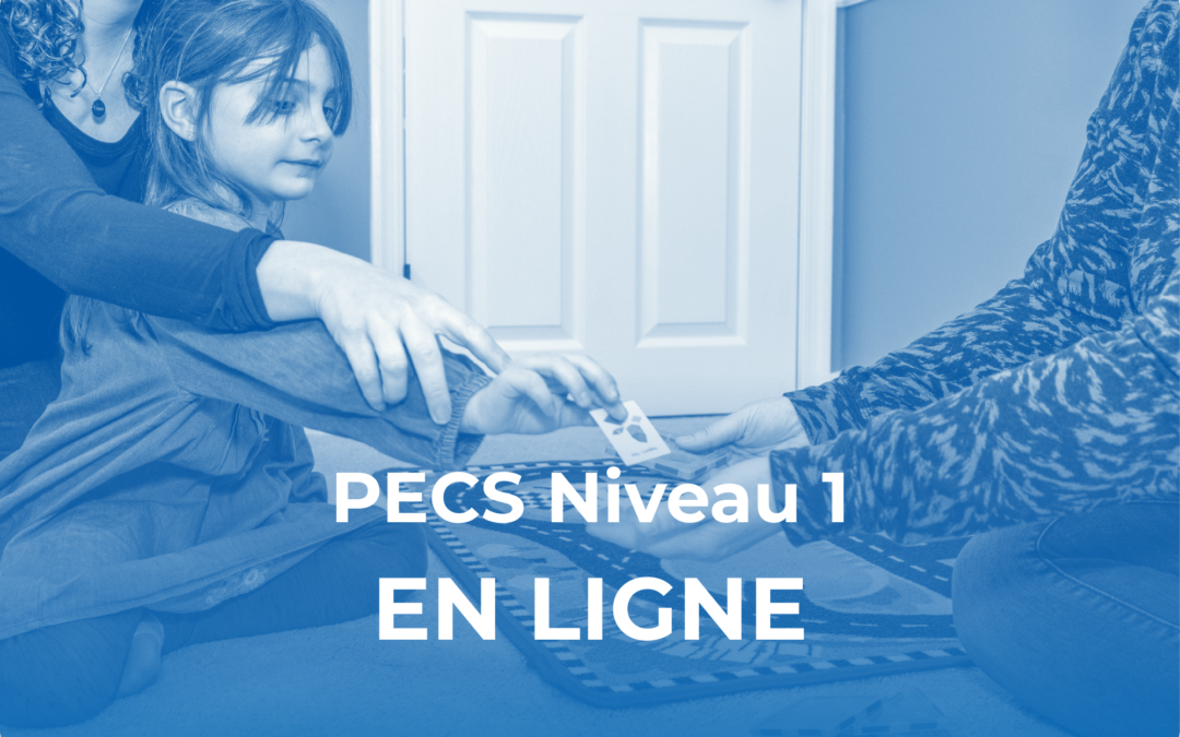 PECS Niveau 1 – A Distance, A Distance (juin 2026)