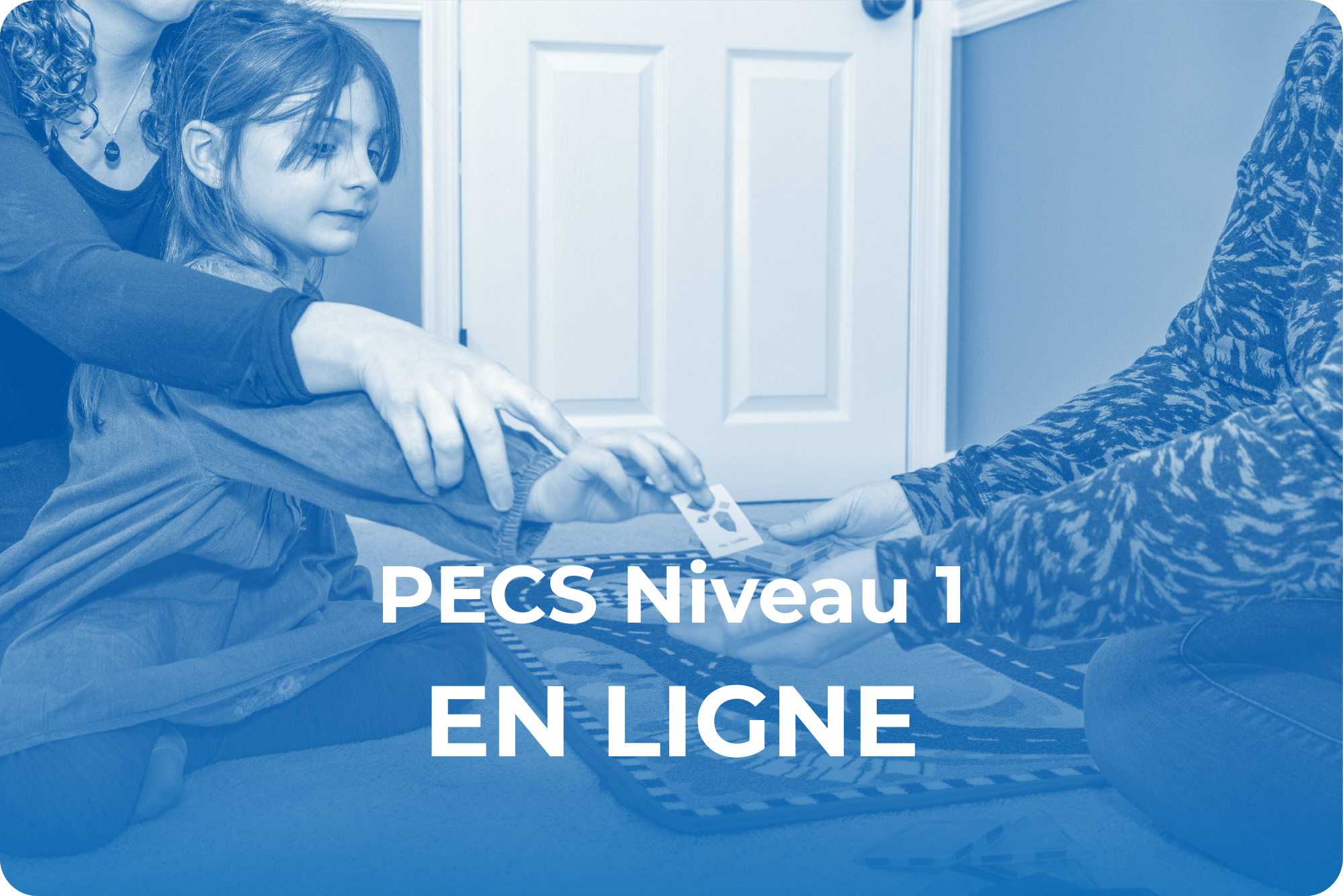 PECS 1 - EN LIGNE