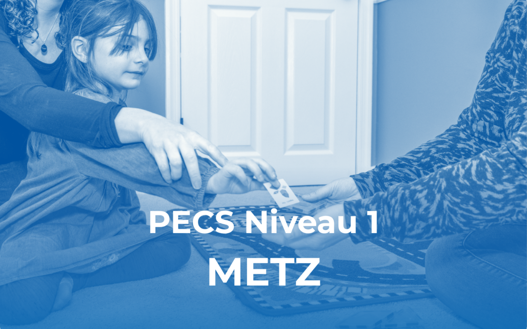 PECS Niveau 1 – Metz, Grand Est (septembre 2026)