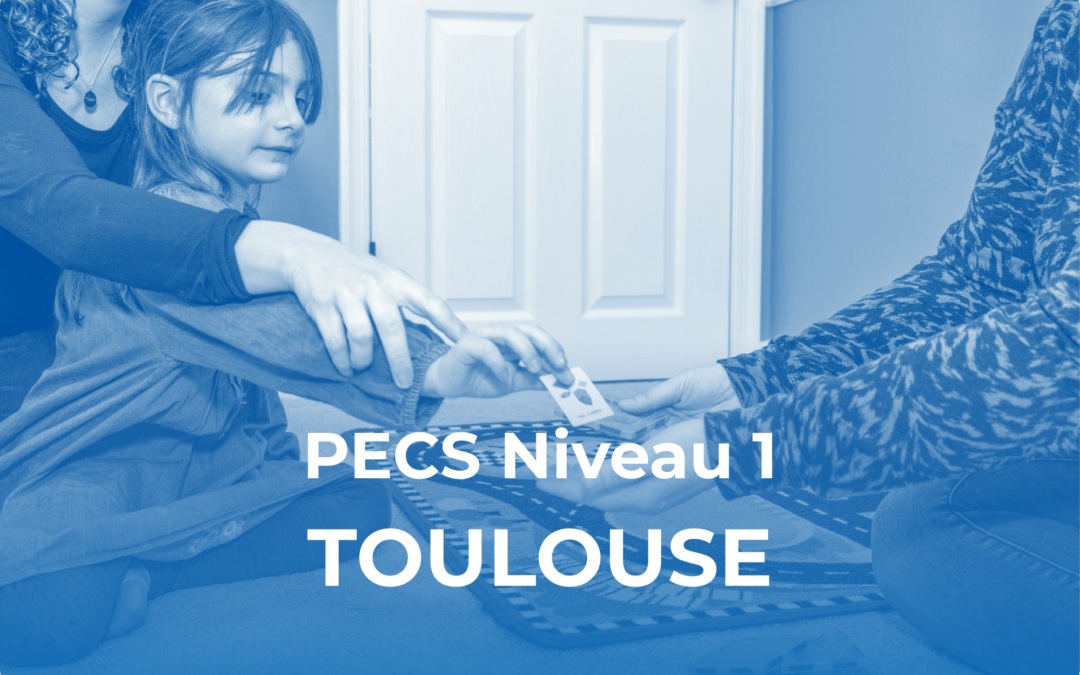 PECS Niveau 1 – Toulouse, Occitanie (septembre 2026)