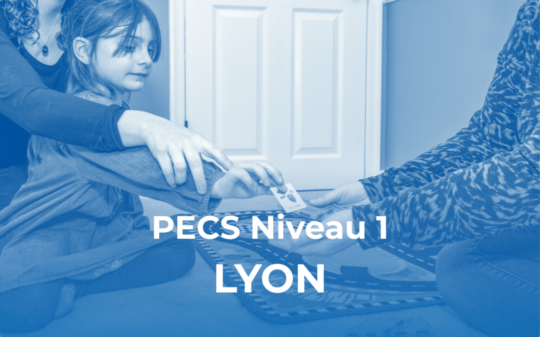 PECS Niveau 1 – Lyon, Auvergne-Rhône-Alpes (décembre 2026)