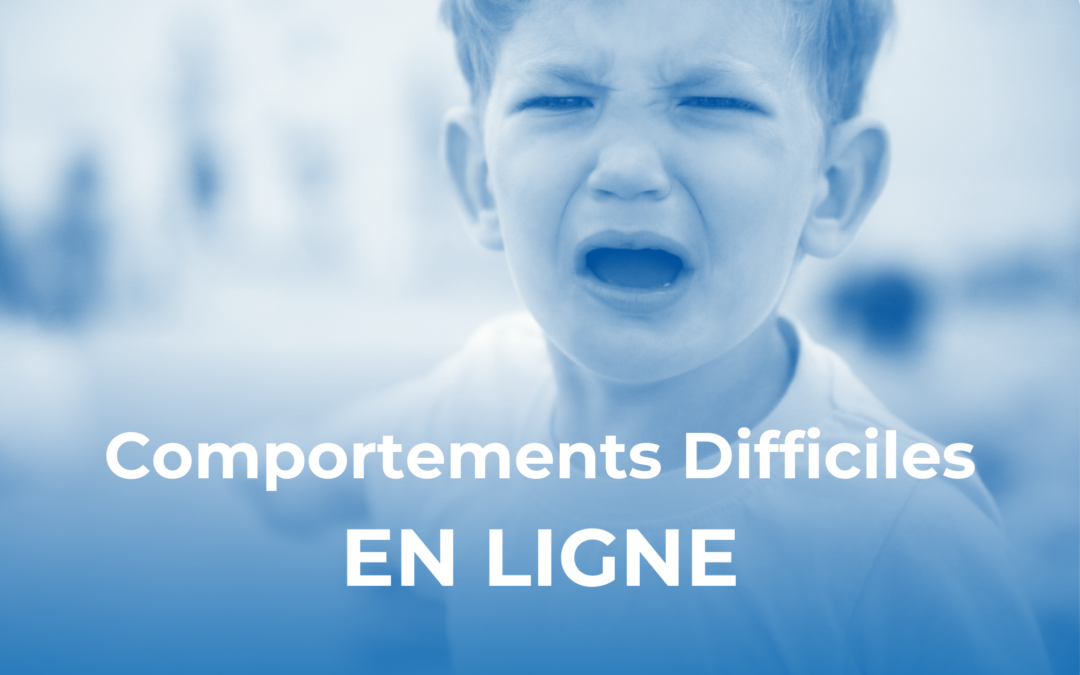 La gestion des Comportements Difficiles – A Distance, A Distance (septembre 2026)
