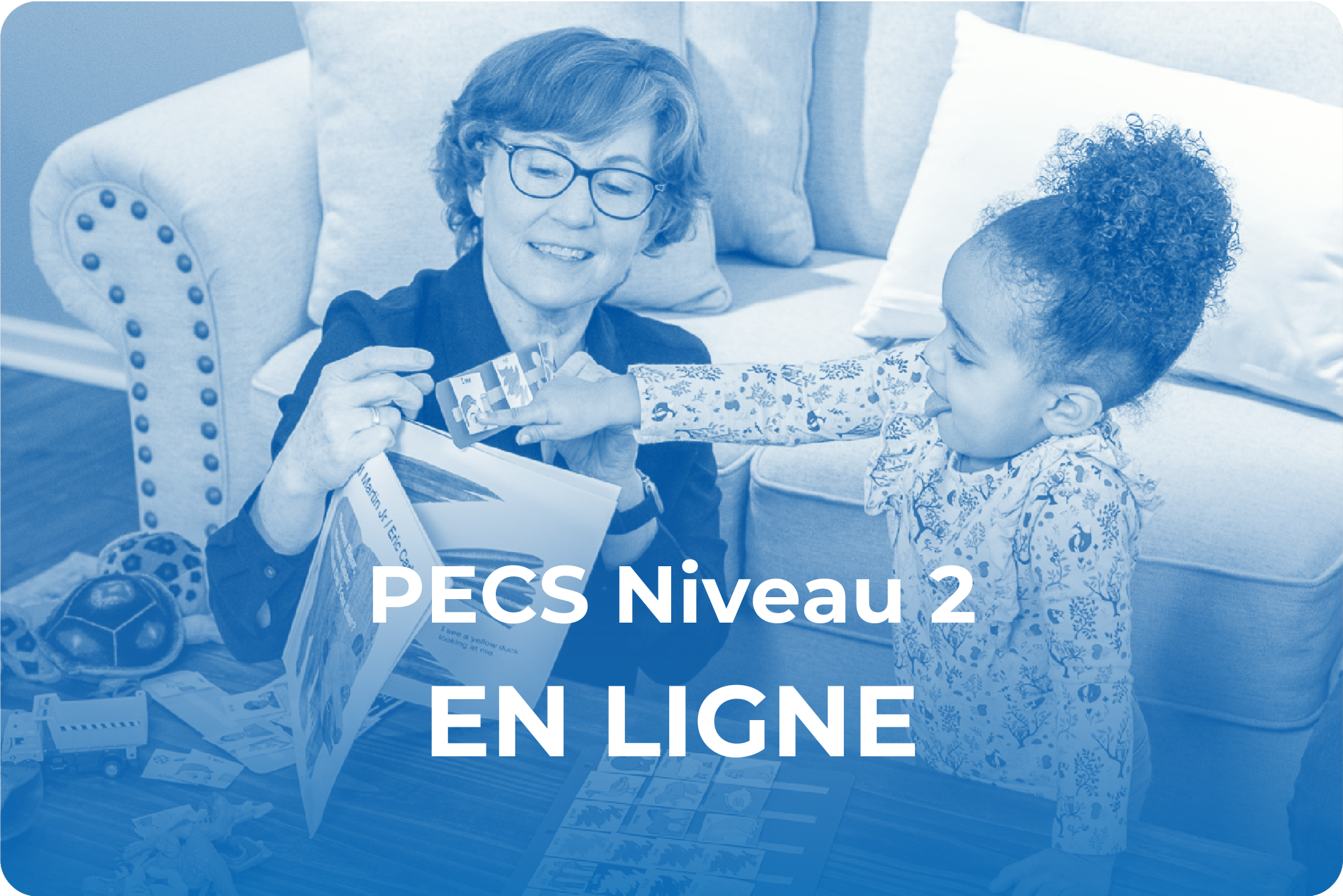 PECS 2 - EN LIGNE