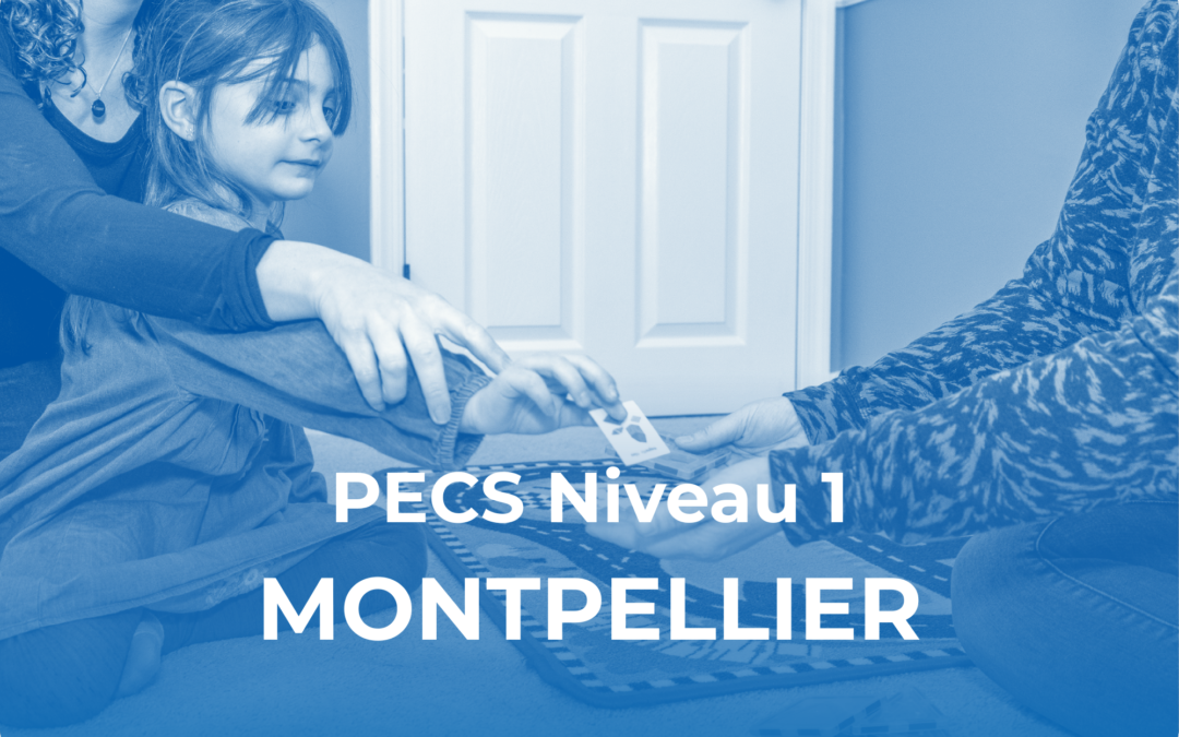 PECS Niveau 1 – Montpellier, Occitanie (avril 2027)